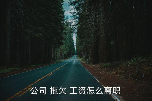公司 拖欠 工資怎么離職