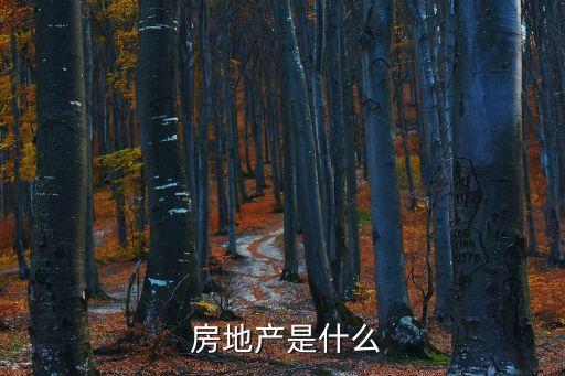 房地