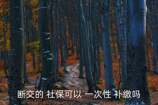 斷交的 社?？梢?一次性 補(bǔ)繳嗎