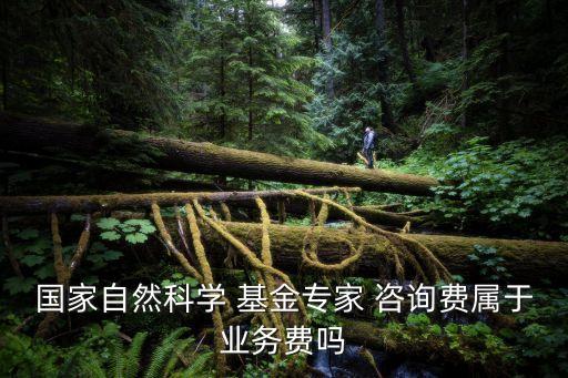 國家自然科學(xué) 基金專家 咨詢費(fèi)屬于業(yè)務(wù)費(fèi)嗎