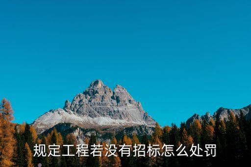 未按規(guī)定進(jìn)行招投標(biāo)