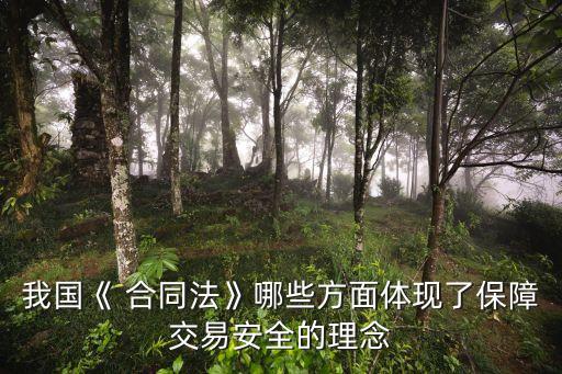 我國《 合同法》哪些方面體現(xiàn)了保障交易安全的理念