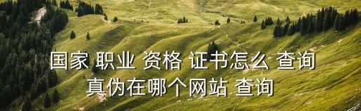 國家職業(yè)資格證書查詢,osta國家職業(yè)資格證書查詢