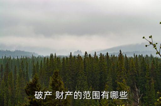  破產(chǎn) 財產(chǎn)的范圍有哪些