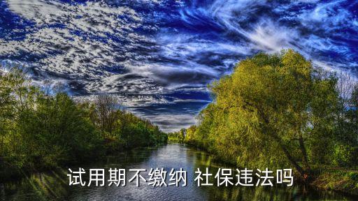 試用期不繳納 社保違法嗎