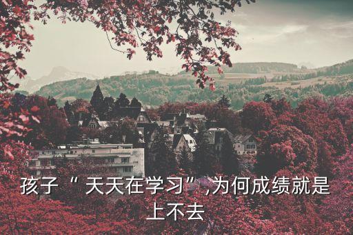 孩子“ 天天在學(xué)習(xí)”,為何成績就是上不去