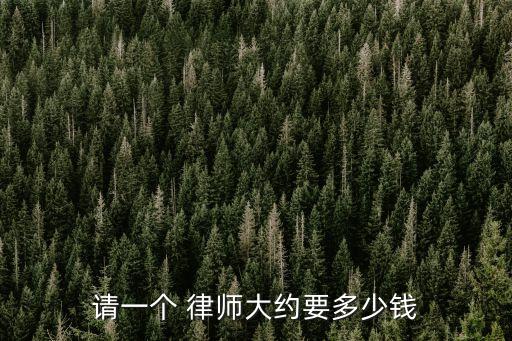 請(qǐng)一個(gè) 律師大約要多少錢