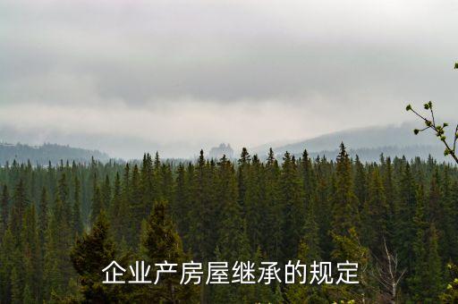 企業(yè)產(chǎn)權(quán)