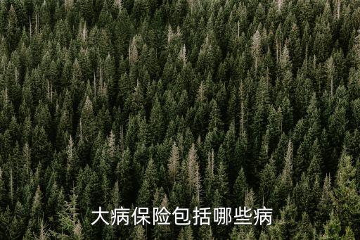  大病保險(xiǎn)包括哪些病