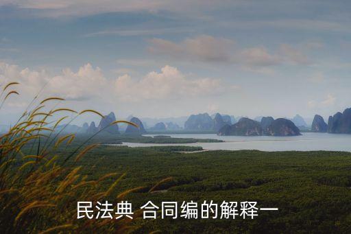  民法典 合同編的解釋一