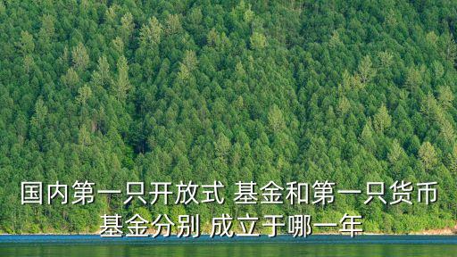 國內(nèi)第一只開放式 基金和第一只貨幣 基金分別 成立于哪一年