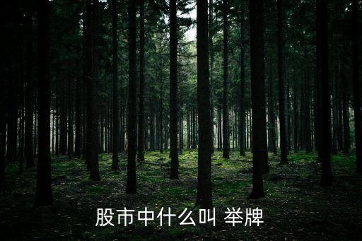 股市中什么叫 舉牌
