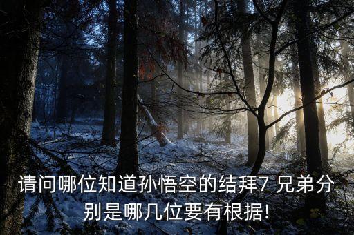 兄弟共7