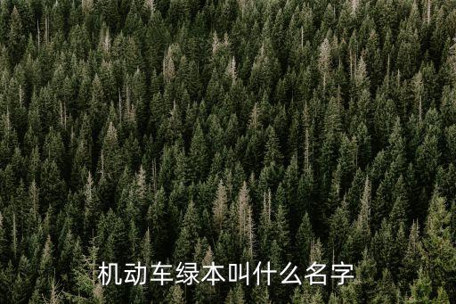 汽車大本是什么