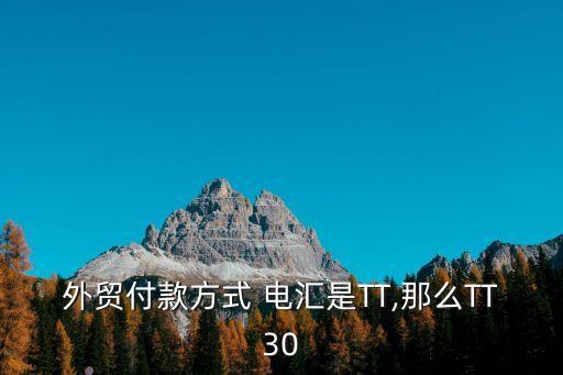 tt電匯,TT電匯是什么意思