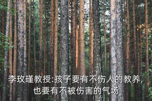 李玫瑾教授:孩子要有不傷人的教養(yǎng),也要有不被傷害的氣場