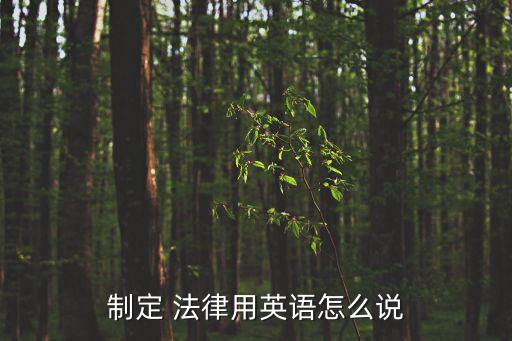 制定 法律用英語怎么說