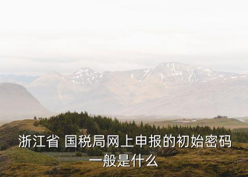  浙江省 國(guó)稅局網(wǎng)上申報(bào)的初始密碼一般是什么