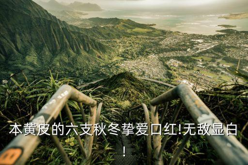 本黃皮的六支秋冬摯愛(ài)口紅!無(wú)敵顯白!