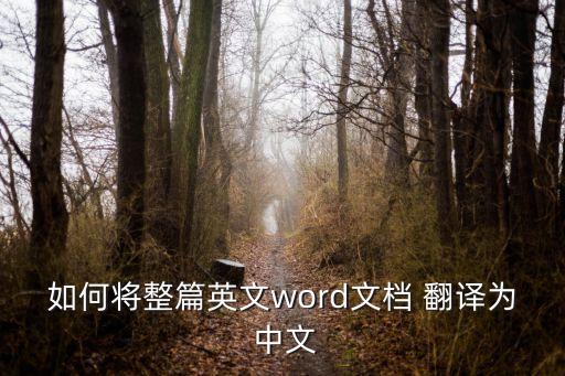 如何將整篇英文word文檔 翻譯為 中文