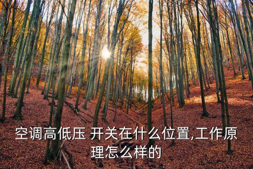 空調(diào)高低壓 開關在什么位置,工作原理怎么樣的