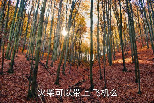  火柴可以帶上 飛機(jī)么