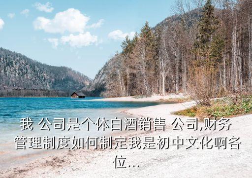 我 公司是個體白酒銷售 公司,財務 管理制度如何制定我是初中文化啊各位...