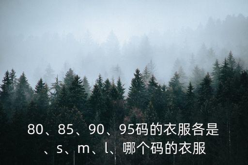 80碼