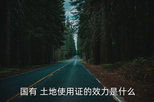 國(guó)有土地使用權(quán)證,怎么辦理國(guó)有土地使用權(quán)證