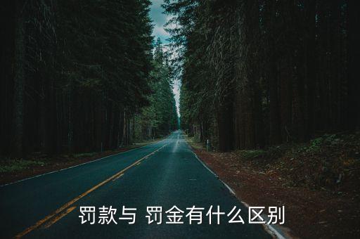  罰款與 罰金有什么區(qū)別