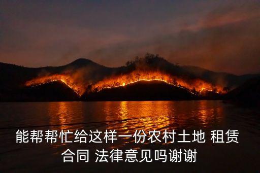 能幫幫忙給這樣一份農(nóng)村土地 租賃 合同 法律意見嗎謝謝