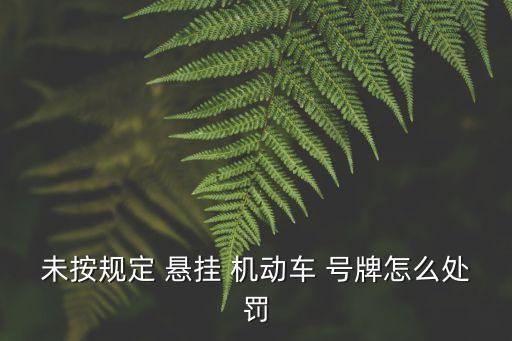 未按規(guī)定 懸掛 機(jī)動(dòng)車 號(hào)牌怎么處罰