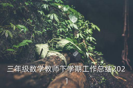 三年級數(shù)學(xué)教師下學(xué)期工作總結(jié)2021