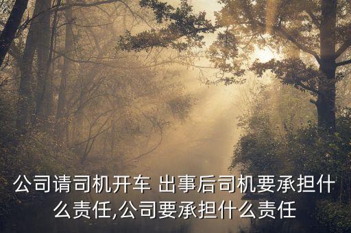 公司請(qǐng)司機(jī)開車 出事后司機(jī)要承擔(dān)什么責(zé)任,公司要承擔(dān)什么責(zé)任