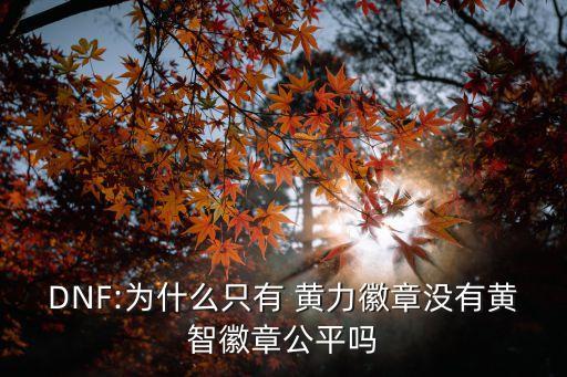 DNF:為什么只有 黃力徽章沒有黃智徽章公平嗎