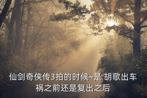 胡歌受傷