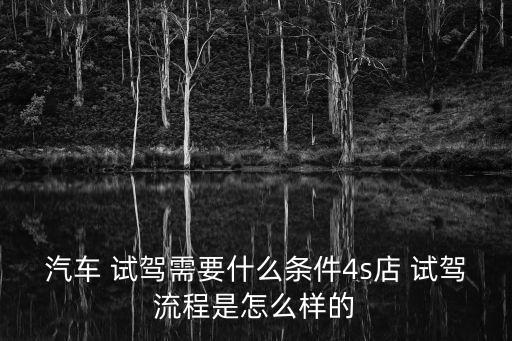汽車 試駕需要什么條件4s店 試駕流程是怎么樣的