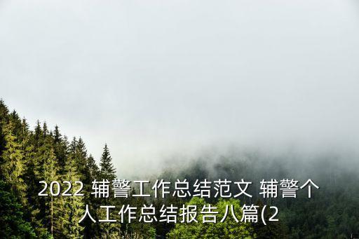 2022 輔警工作總結(jié)范文 輔警個(gè)人工作總結(jié)報(bào)告八篇(2