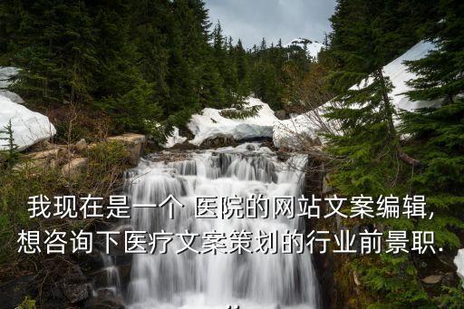 醫(yī)院網(wǎng)絡(luò)營銷