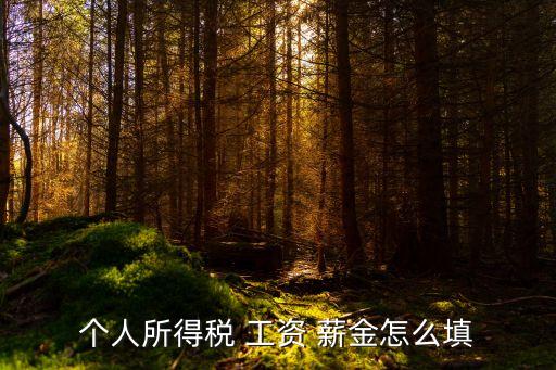 個人所得稅 工資 薪金怎么填