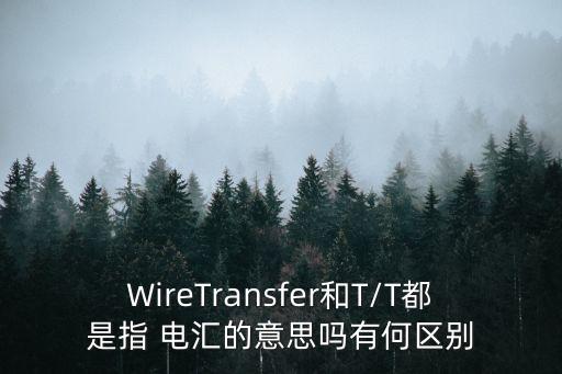 WireTransfer和T/T都是指 電匯的意思嗎有何區(qū)別