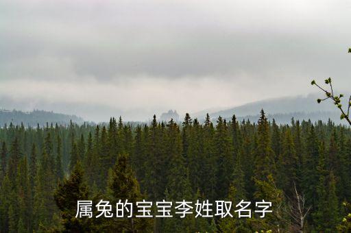屬兔的寶寶李姓取名字