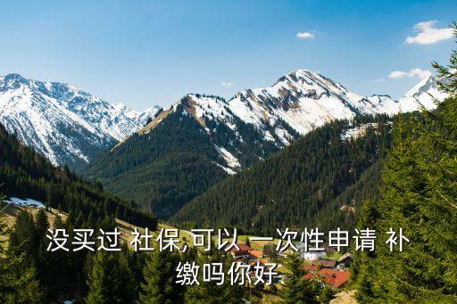 社保一次性補繳,2023年社保一次性補繳
