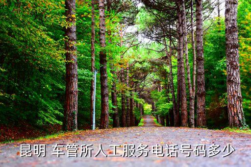  昆明 車管所人工服務(wù)電話號碼多少