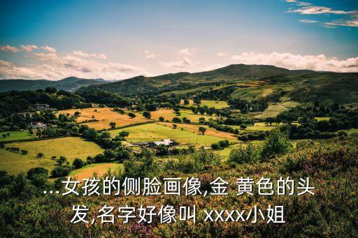 ...女孩的側(cè)臉畫(huà)像,金 黃色的頭發(fā),名字好像叫 xxxx小姐