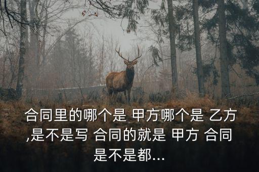 合同的甲方和乙方怎么填寫