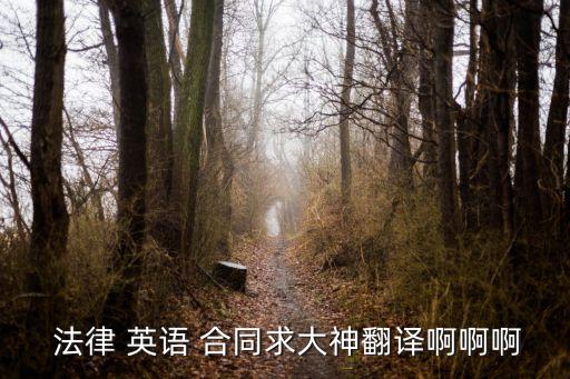  法律 英語(yǔ) 合同求大神翻譯啊啊啊