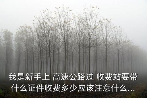 我是新手上 高速公路過 收費(fèi)站要帶什么證件收費(fèi)多少應(yīng)該注意什么...