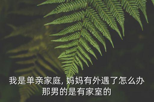 我是單親家庭, 媽媽有外遇了怎么辦那男的是有家室的
