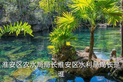 淮安區(qū)農(nóng)水局局長淮安區(qū)水利局局長是誰
